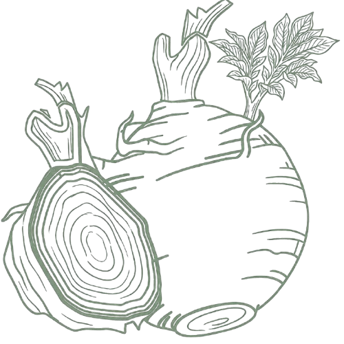 lavender (1).png