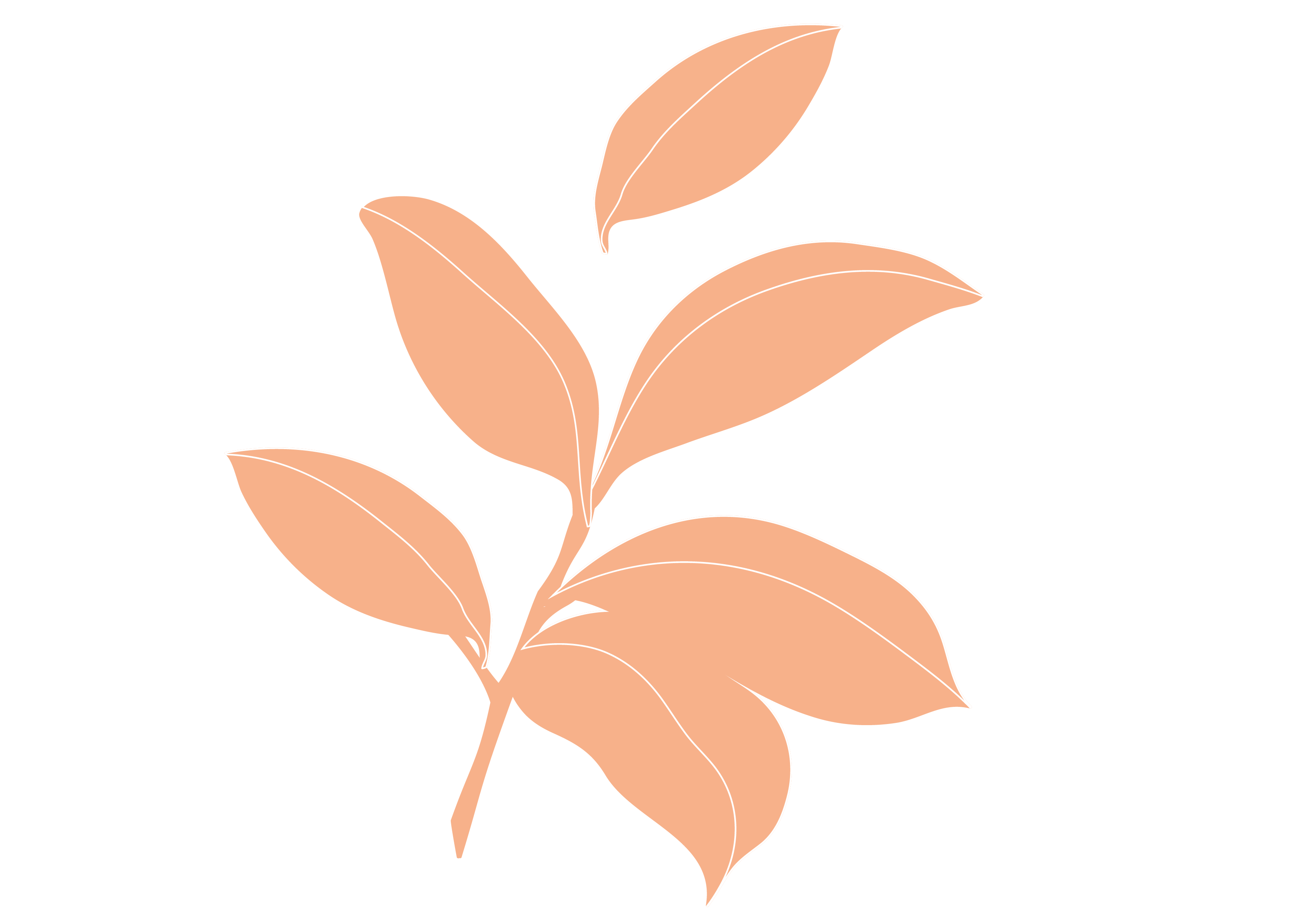 VENTRE PLAT-thé vert.png