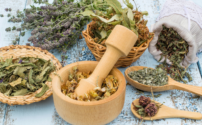 Fleurs séchés pour phytothérapie